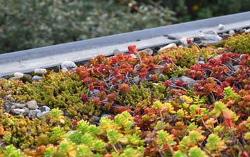 the cost of Burgh St Peter green roof installation