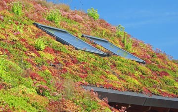 Burgh St Peter living roof systems