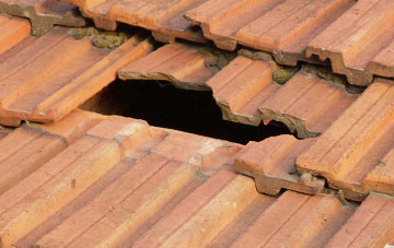 roof repair Burgh St Peter, Norfolk