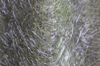 Burgh St Peter fibreglass roof work